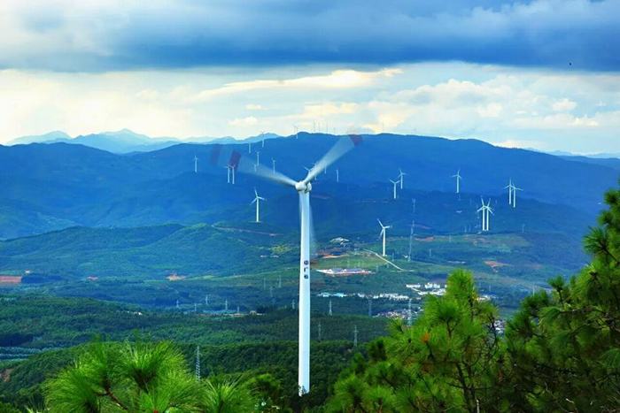 新能源产业追“风”逐“日”领跑全球